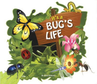 Image of It's Bug's Life