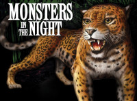 Image of Monsters In The Night