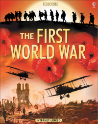 Image of The Usborne Introduction To The First World War