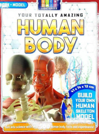 Image of Your totally amazing Human body