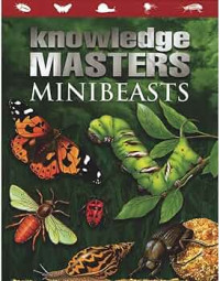 Image of Knowledge Masters: Mini Beasts