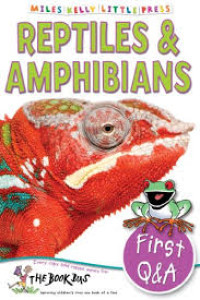 Image of First Q&A: Reptiles & Amphibians