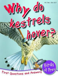 Image of Why do Kestrels Hover?